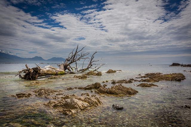 084 Kaikoura.jpg